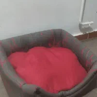 جای  خواب گربه سگ