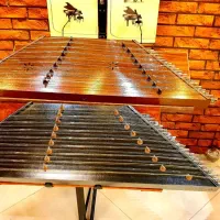 santor سنتور   حرفه ای   سیم المانی