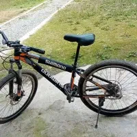 فروش فوری دوچرخه چمستان