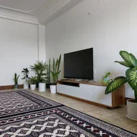 گلدان|گل و گیاه طبیعی|گنبد کاووس, |دیوار