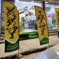 اجاره-بالا-خونه-بلوار-جانبازان