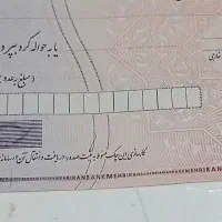 مشاوره امورات چک های بانکی
