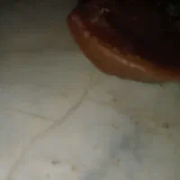 شمع نو