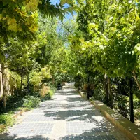 زمین های باغشهری فوق اقتصادی دوکوهک با اجازه ساخت