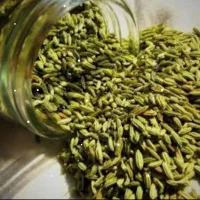 فروش عمده زیره سبز و گلاب وپنیرک