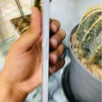 noting phon a2 plus|موبایل|یاسوج, |دیوار