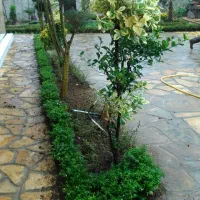 محوطه سازی ،کف سازی و مالون کاری و ایجاد فضای سبز