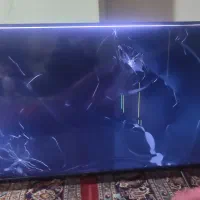 تلوزیون