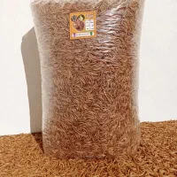 میلورم خشک زنده