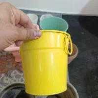 گلدون|لوازم جانبی حیوانات|گرمسار, |دیوار