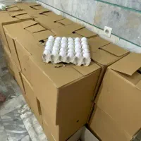 فقط ۴۶۰