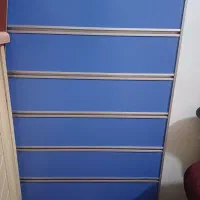 رگال شیاری