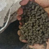 کود مرغی