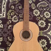 گیتار مارتین مدل d6