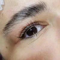 نیروی اصلاح ابرو