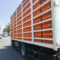 سبد مرغی ۳۳۰ تایی