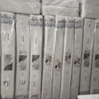 مدل التراپد