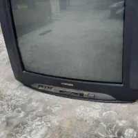 تلوزیون