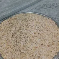 تخمه خربزه