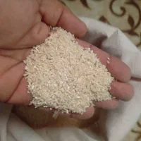 برنج لاشه دم سیاه