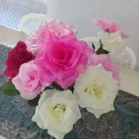 گل رز