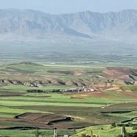 اجاره زمین کشاورزی دیم
