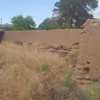 خانه کلنگی در نیزار