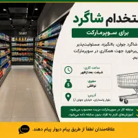 استخدام