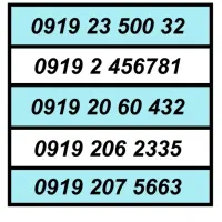 0919.50.55.956|سیمکارت|تهران, شهرک چیتگر|دیوار