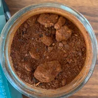 تندیجات محلی شمال