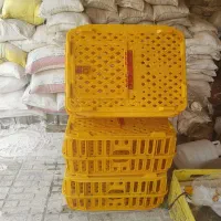 سبد مرغ زنده نو