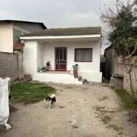 اگه-فلت-باغچه-خواستی-این-قیمت-کلش-به-1800-off-شده