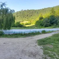 نیاز به نگهبان بالای ۵۰ سال