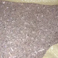 فروش‌بذرشمبلیله