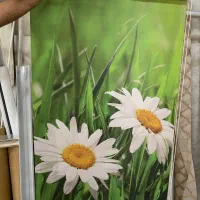 پرده زبرا دومکانیزم تک اداری آشپزخانه خواب