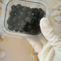 قرص ناف گیاهی