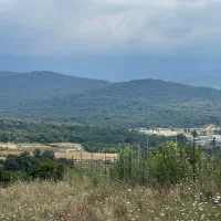 زمین-باغی-ویودار
