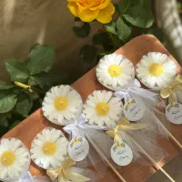 شمع|صنایع دستی و سایر لوازم تزئینی|همدان, |دیوار