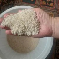 ۲۰ کیلو برنج علی کاظمی اصل مزرعه شخصی