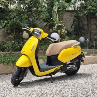 بنلی پانارئا عروسک خشک زیر قیمت