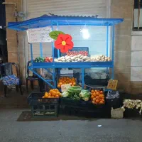 فروش گاری مسقف و طبق دار  در حد نو