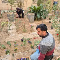 باغبانی وسمپاشی هرسکاری کوددهی بامهر فاکتور شرکت