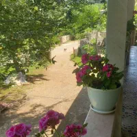 چندتا خونه نزدیک ماسال دارم