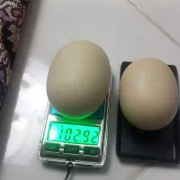 سنگ اسیاب