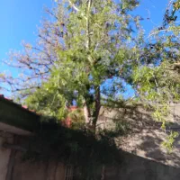 ویلای فروشی در روستای ییلاقی فشند