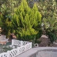 فروش-قواره-355متری-زمین-در-کوی-طالقانی