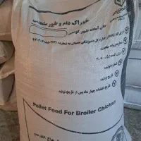 دان پلیت گوشتی