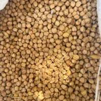 نخود آبگوشتی درشت و زودپز
