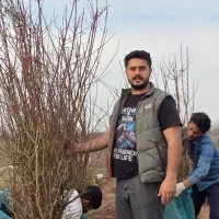 بادام پربار با عمر اقتصادی