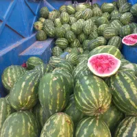 هندوانه به شرط